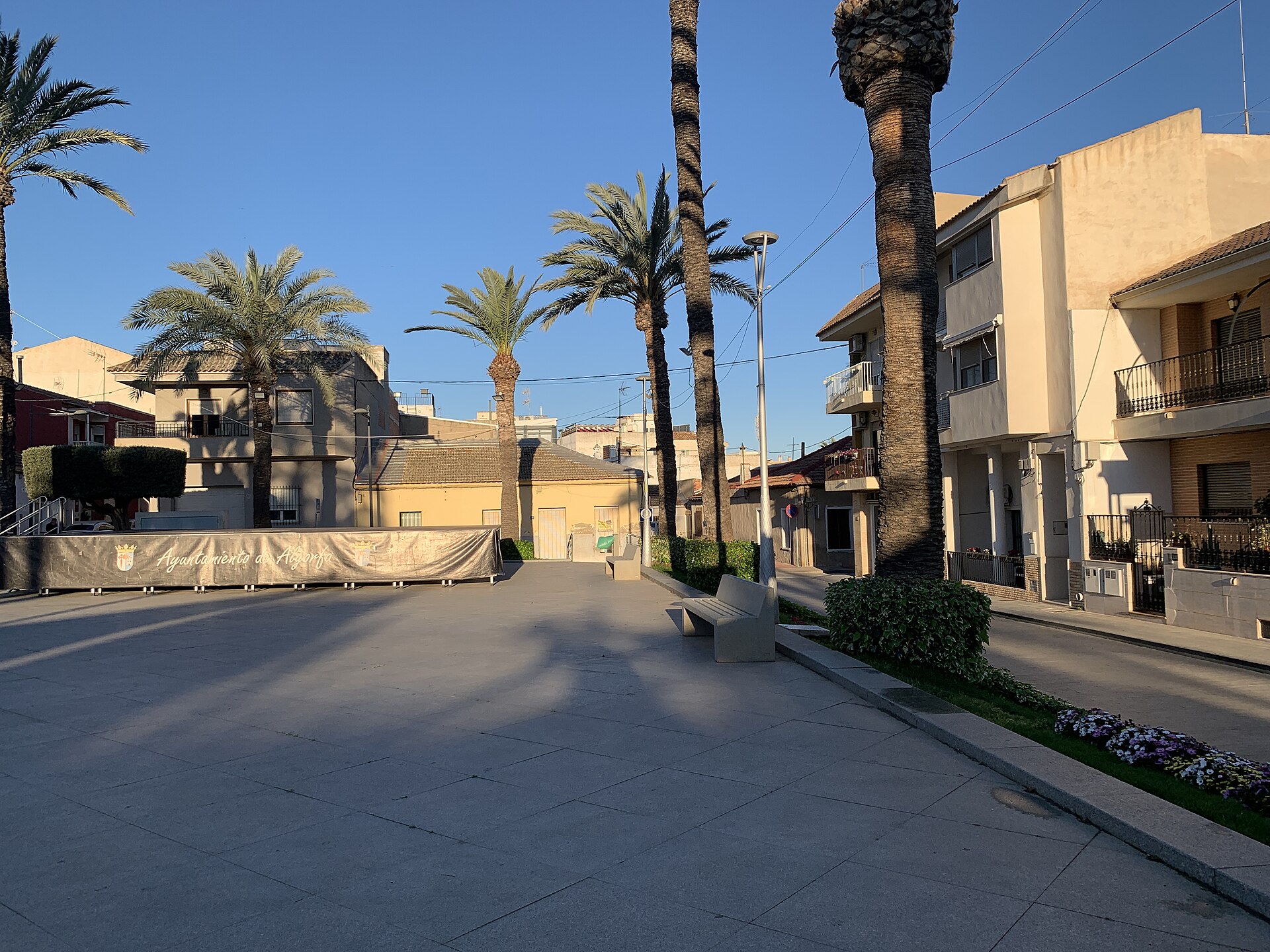 Plaza principal de Algorfa con palmeras
