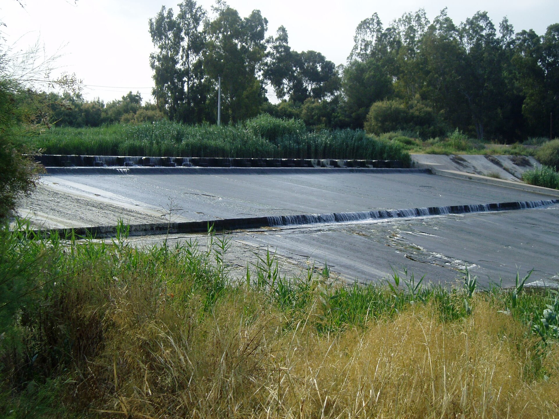 Contexto municipal de Avileses: Contraparda Javalí Nuevo
