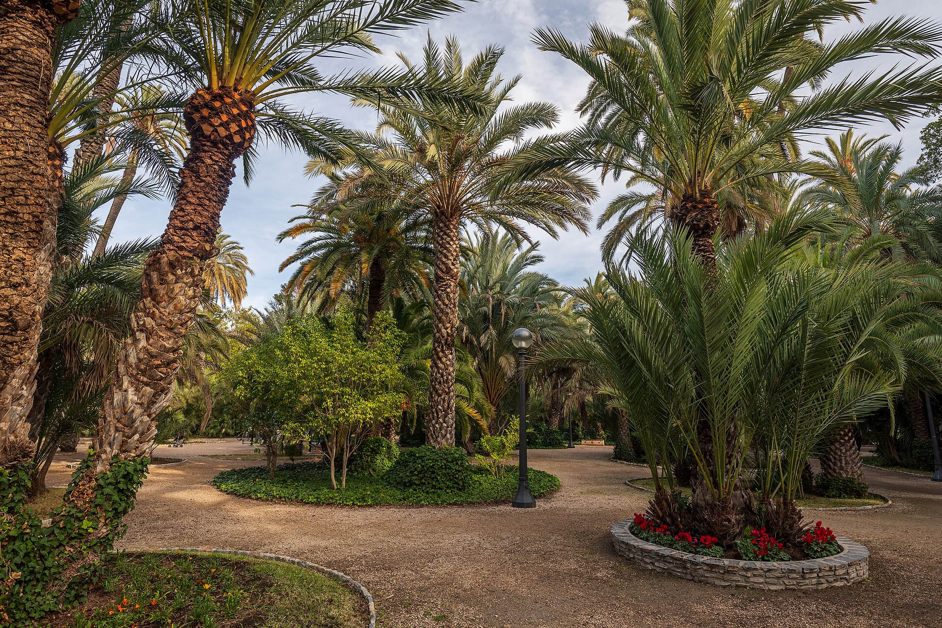 Parc Municipal d'Elx, senderos entre palmeras