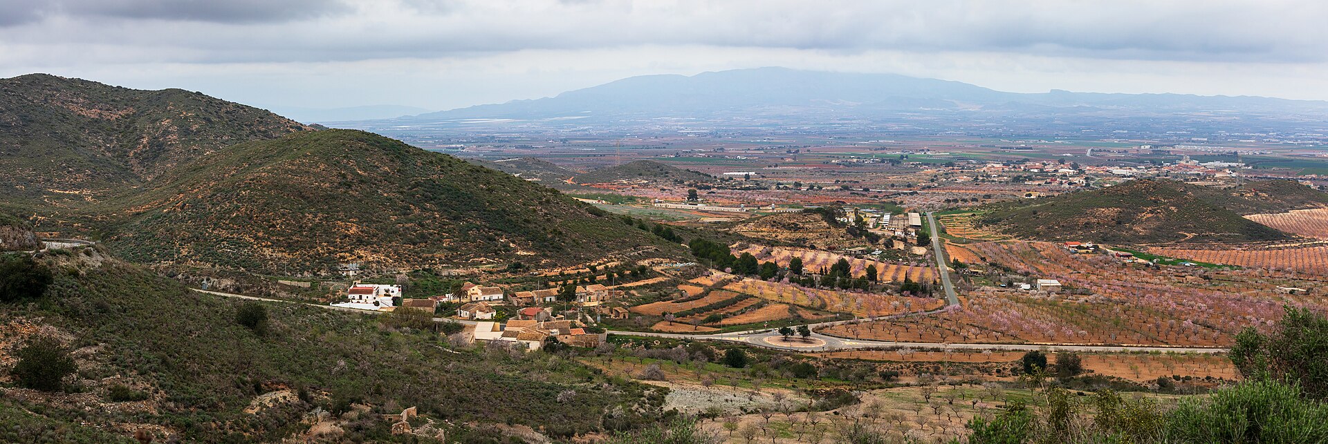 Panorámica agrícola cerca de Las Palas, Fuente Álamo de Murcia